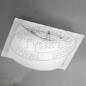 539 ��� ���� (N�) ��������-����������