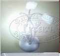 ���������� Linea Light 2887 ���� ��������-����������