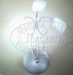 ���������� Linea Light 2887 ���� ��������-����������
